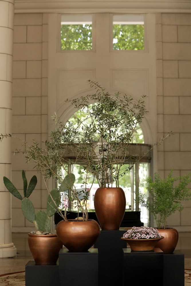 Park Hyatt Mendoza 3