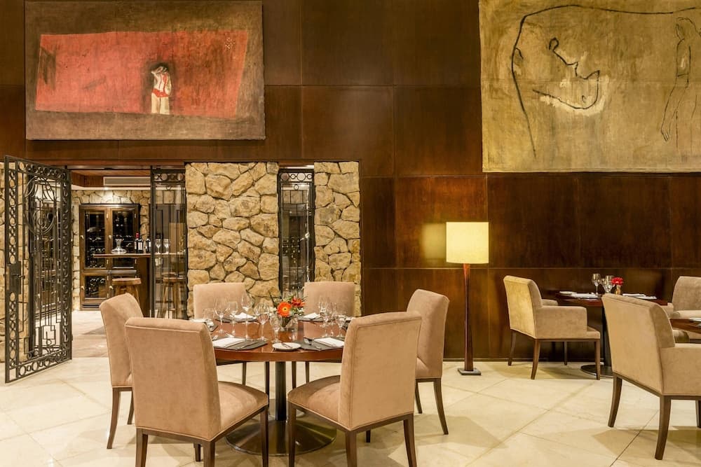 Sheraton Mendoza Hotel 4