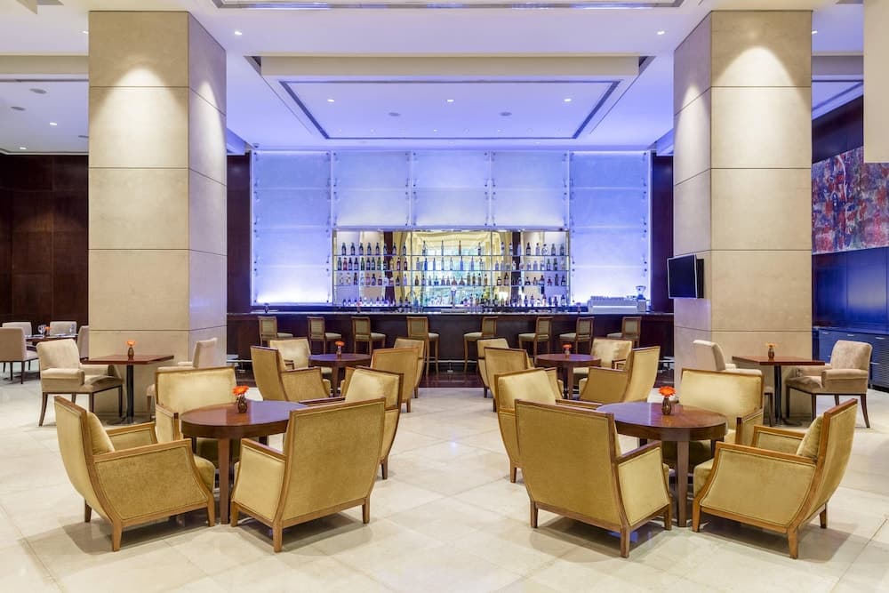 Sheraton Mendoza Hotel 5