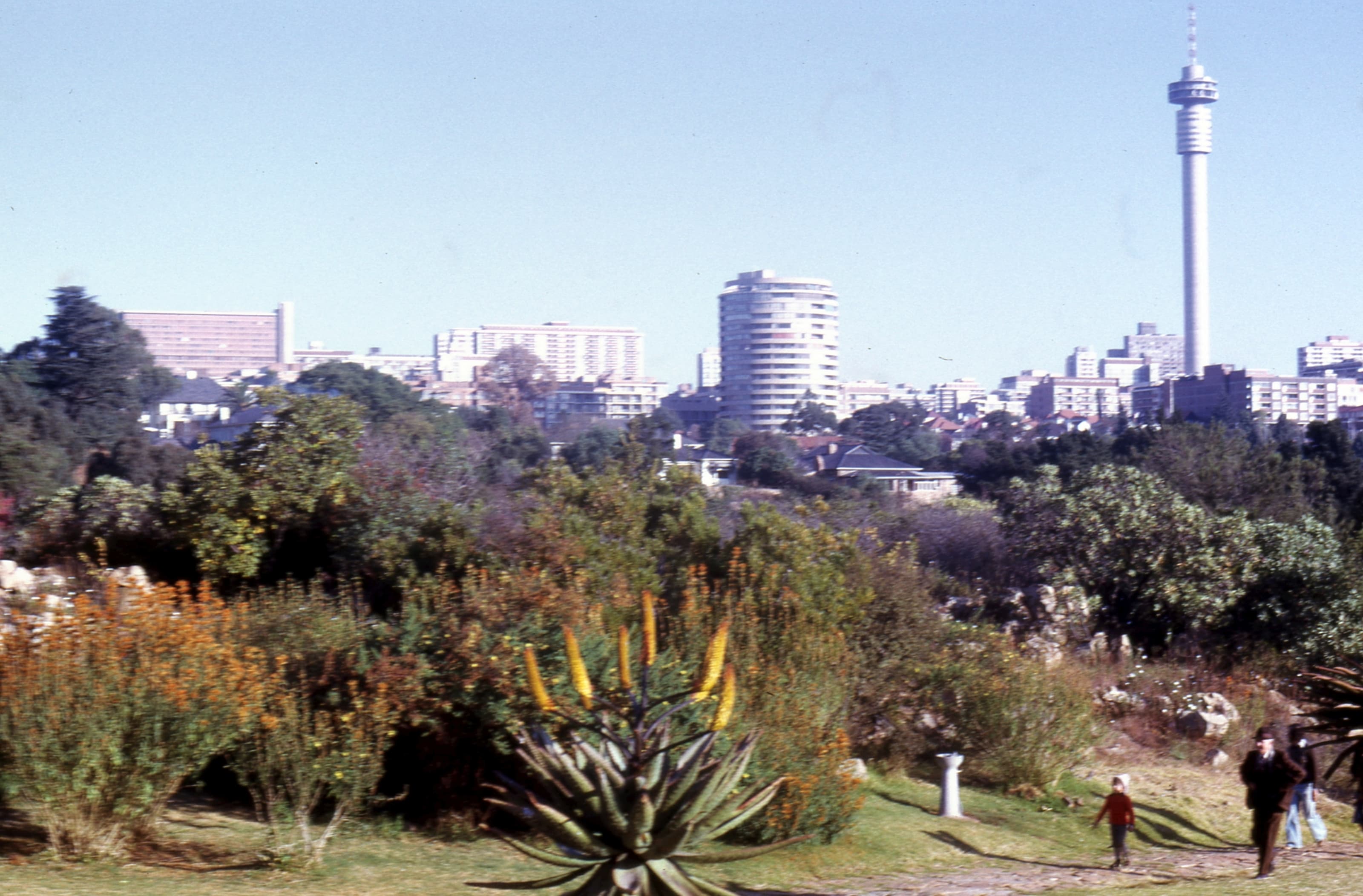 Joanesburgo