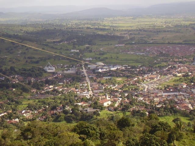 Bonito