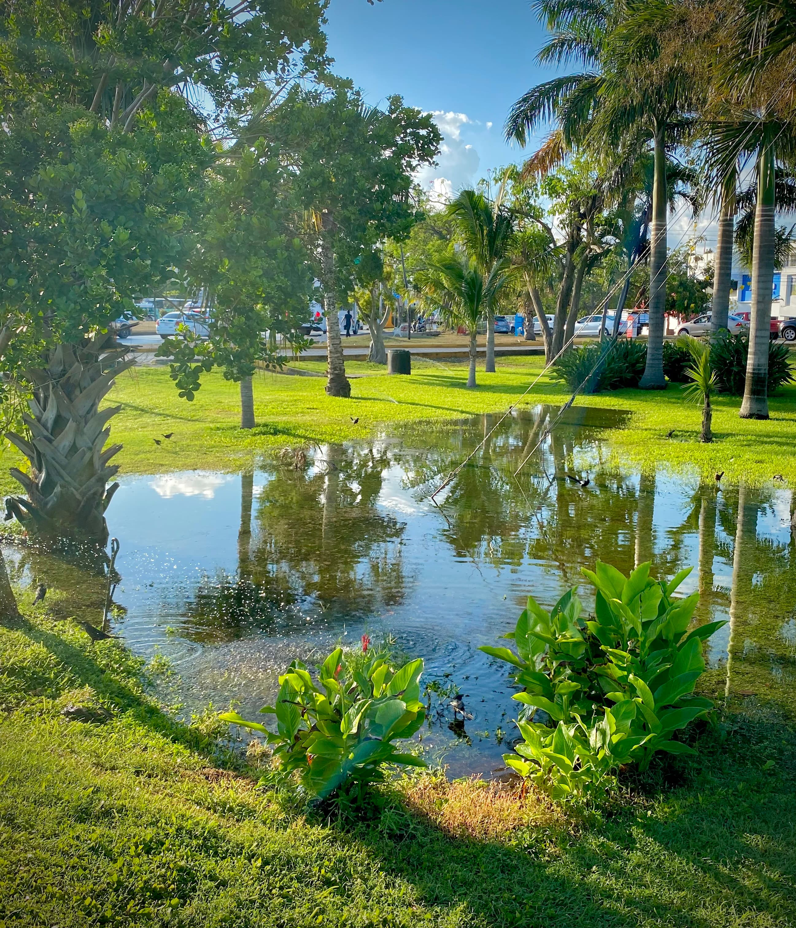 Cancún