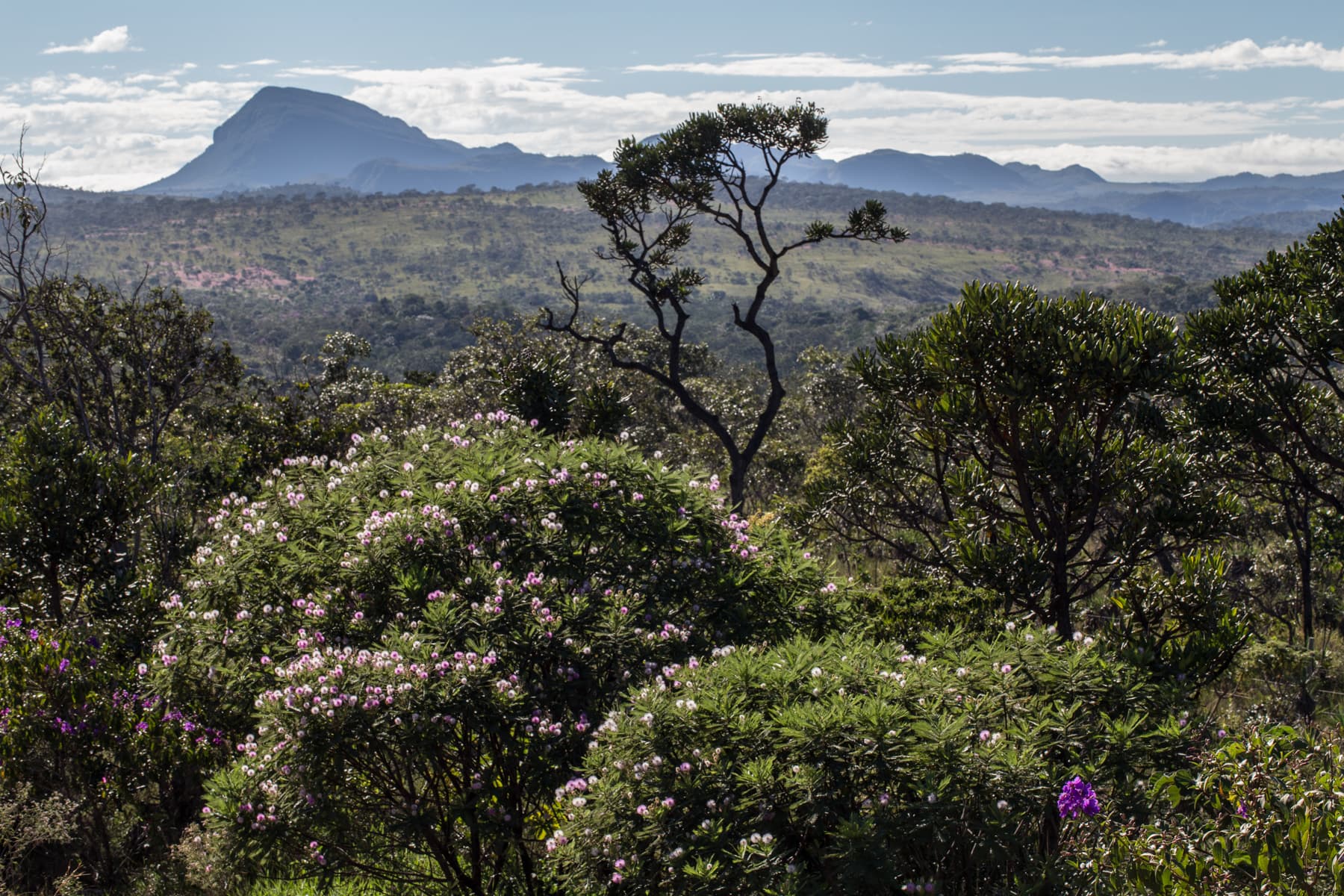 Chapada dos Veadeiros
