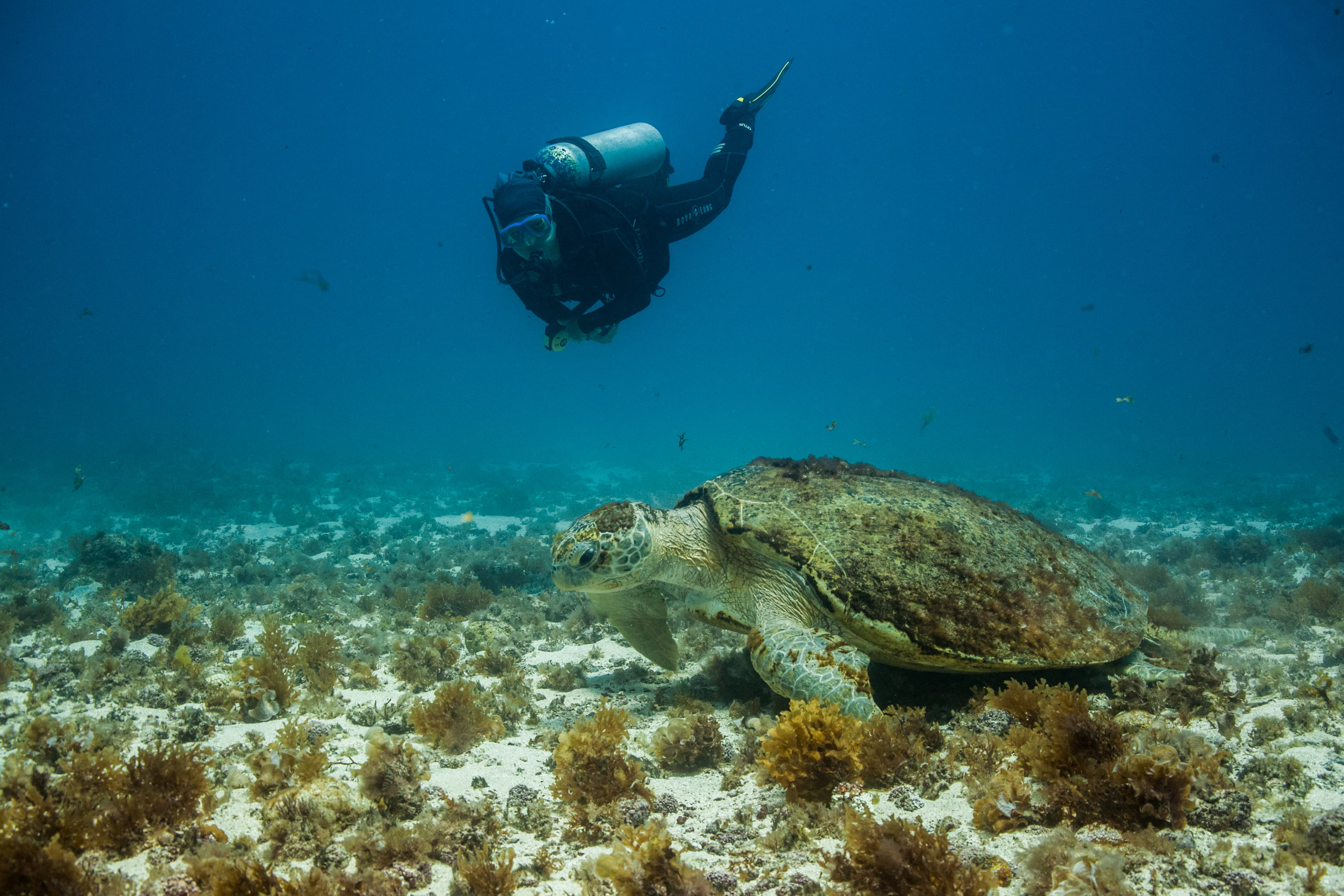 Fernando de Noronha