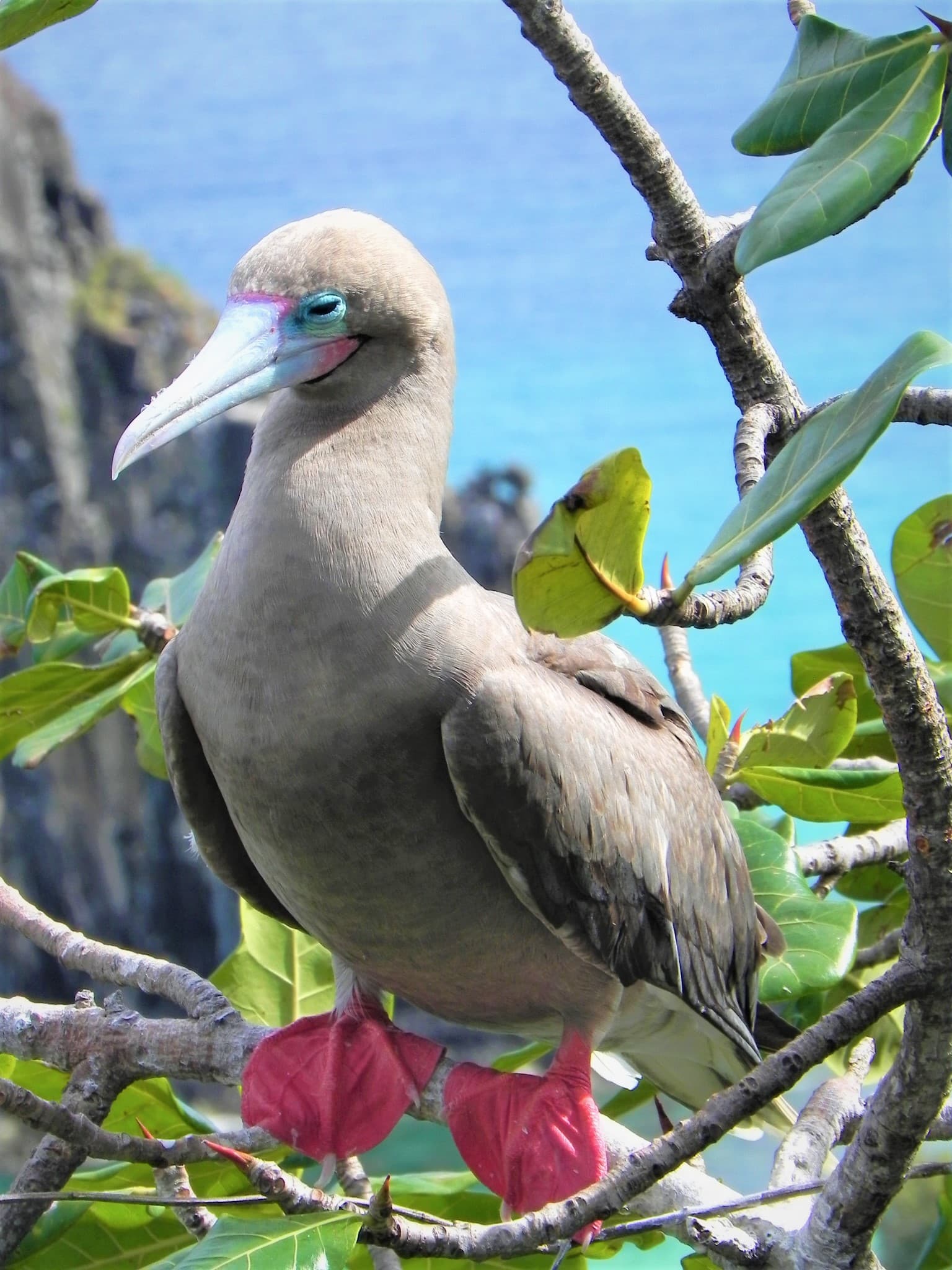 Fernando de Noronha