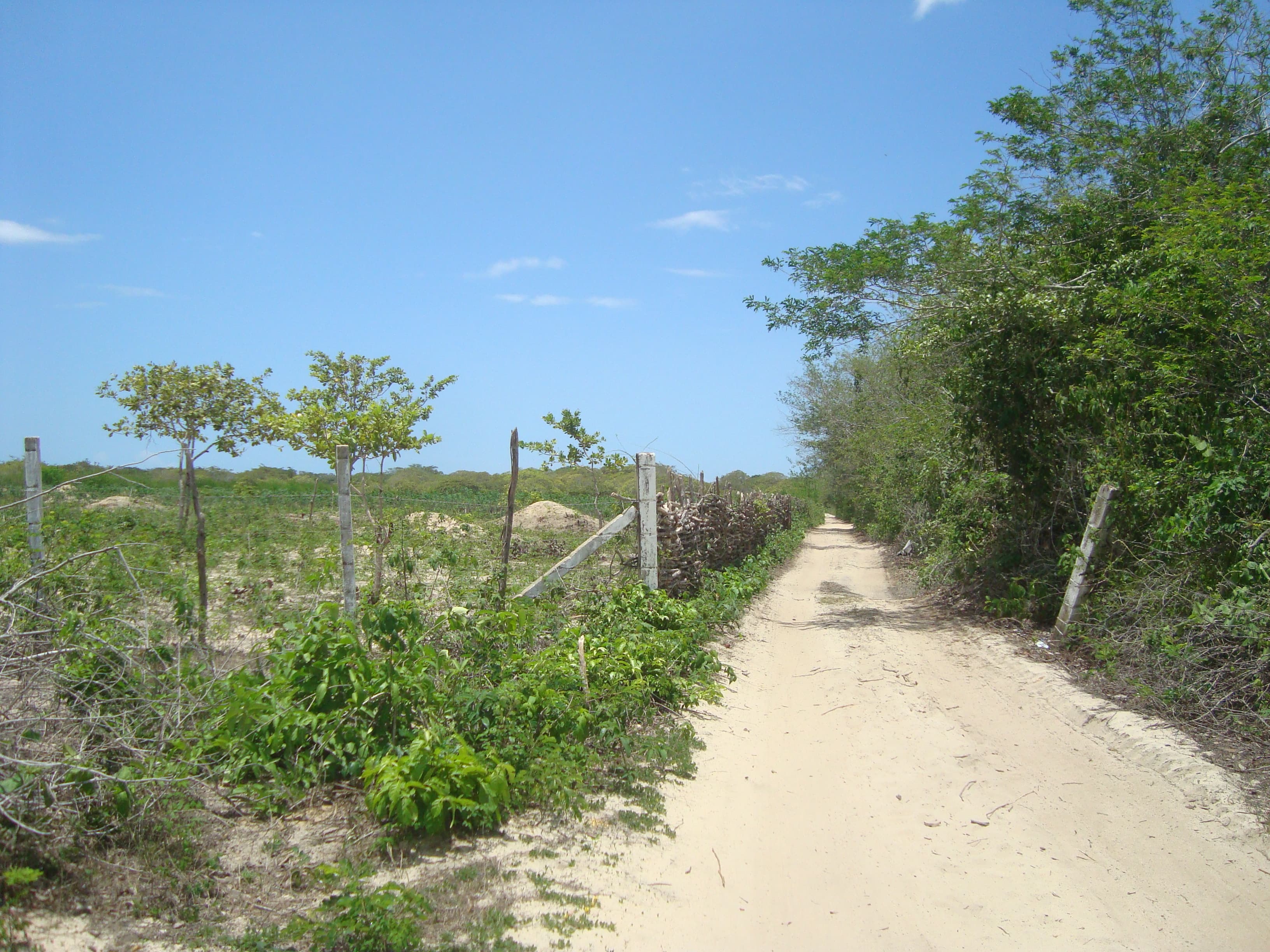 Jericoacoara
