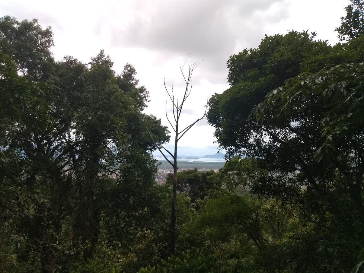 Joinville