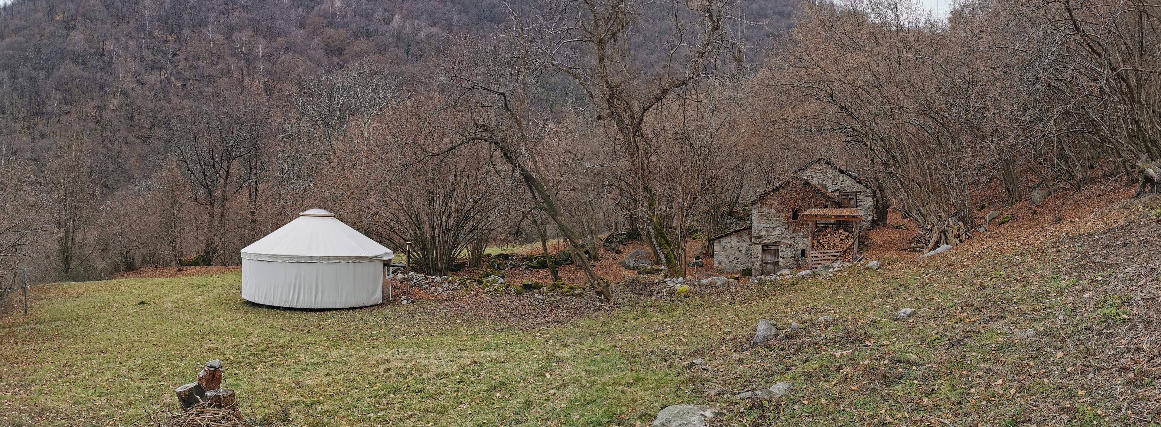 Madri