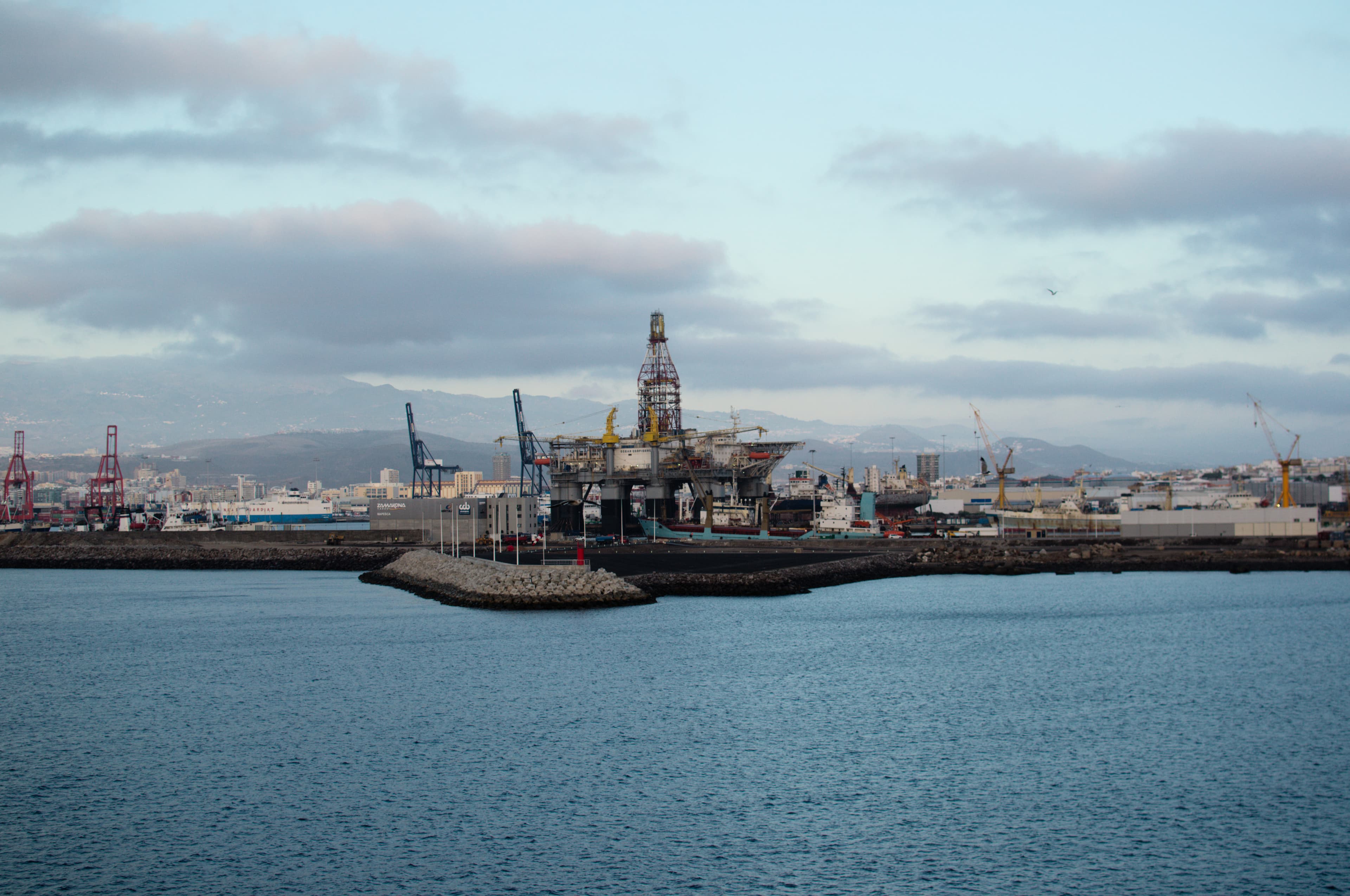 Palmas