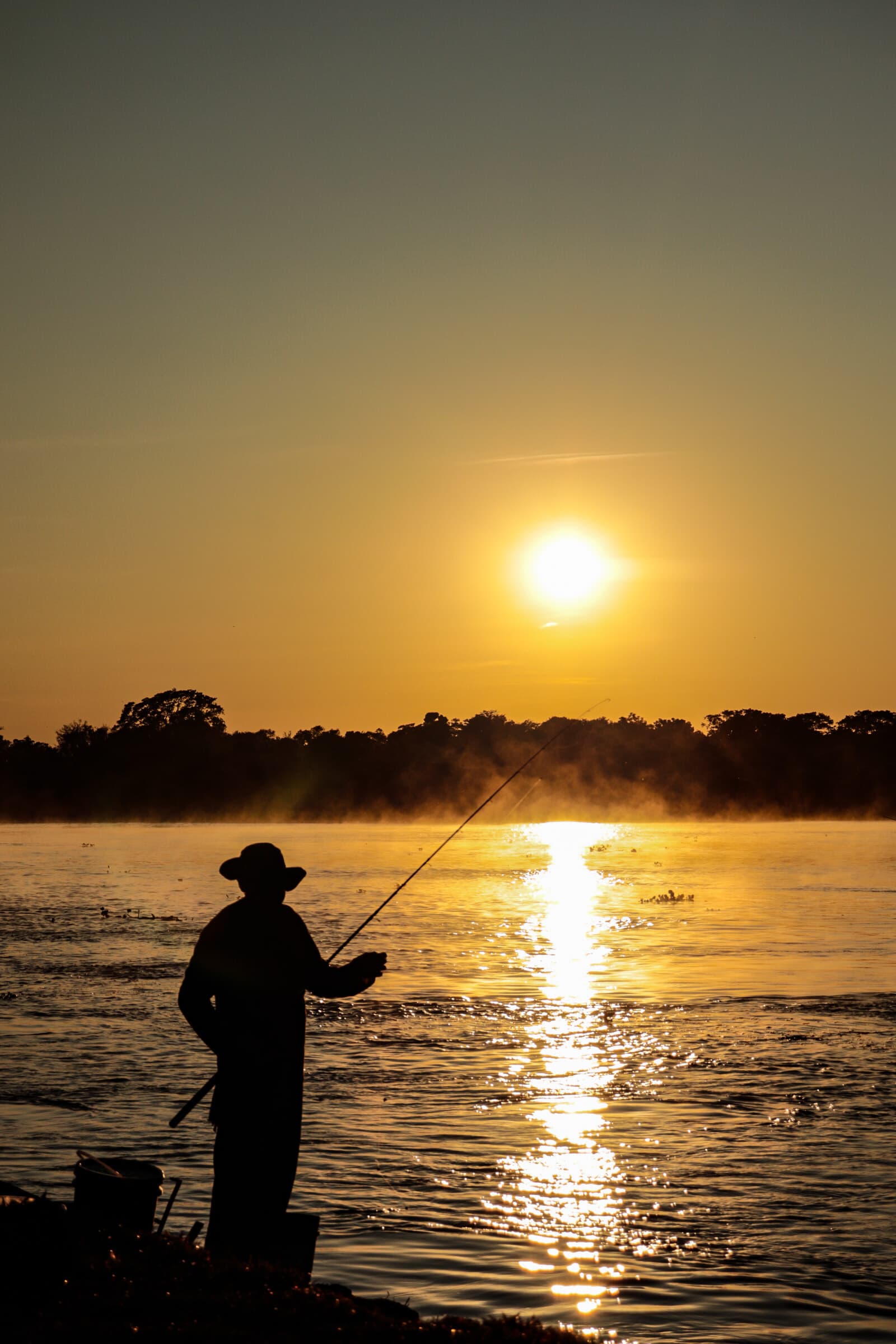 Pantanal