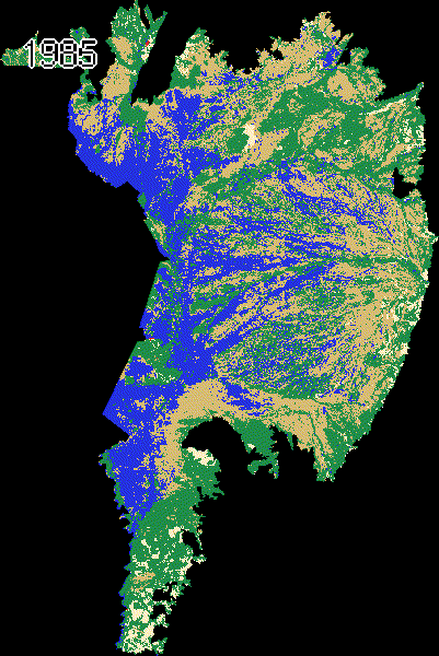 Pantanal