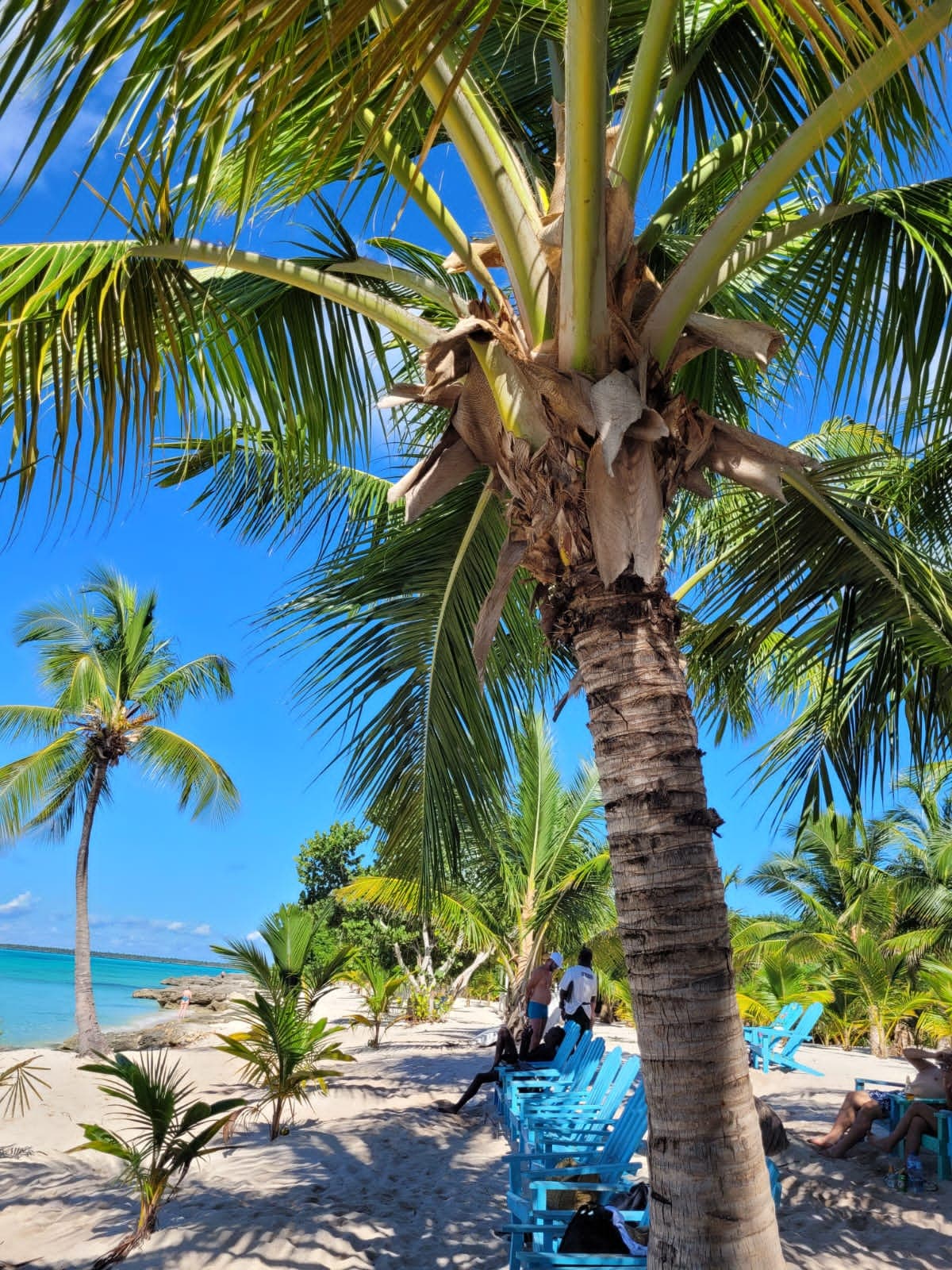 Punta Cana