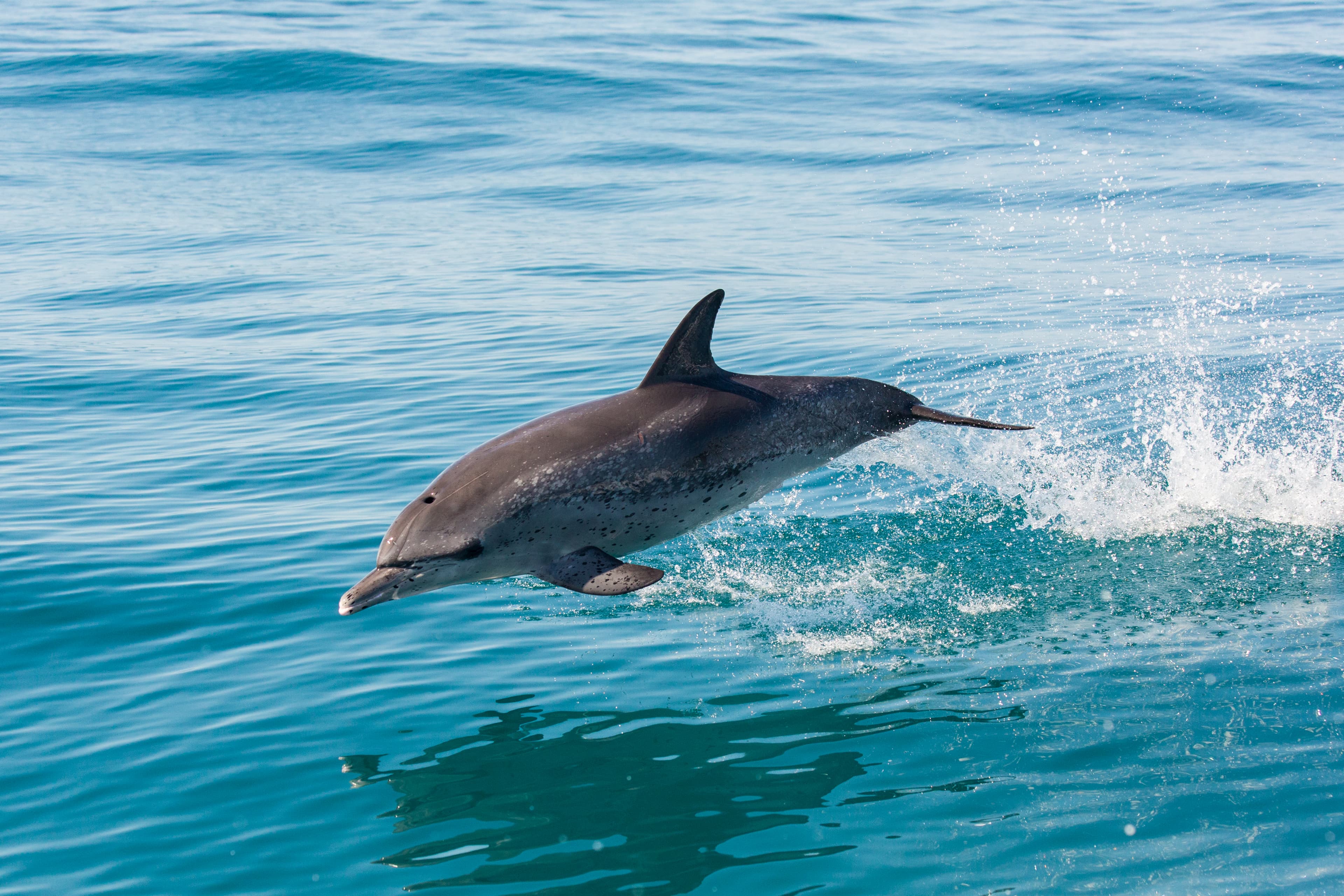 Ubatuba