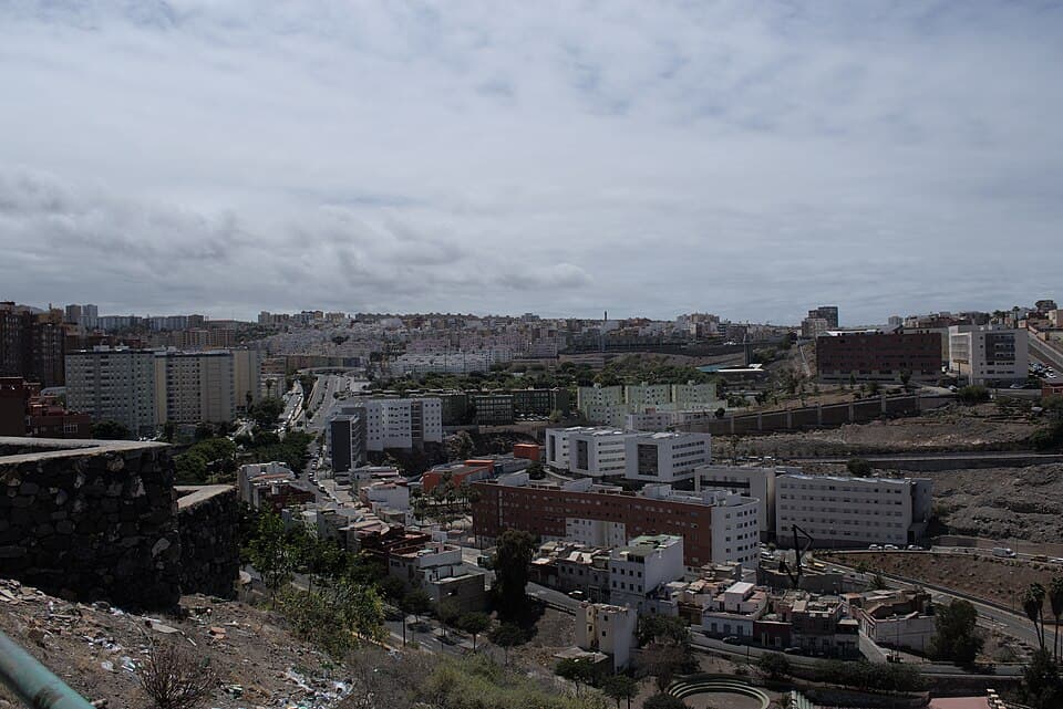 Palmas